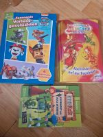 Bücher fee Paw patrol ritter Kreis Ostholstein - Malente Vorschau