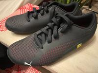 Puma Ferrari Schuhe 38 Niedersachsen - Harsefeld Vorschau