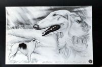 Kunstdruck Radierung Barsoi / Windhund  35 x 50 cm Frankfurt am Main - Eschersheim Vorschau