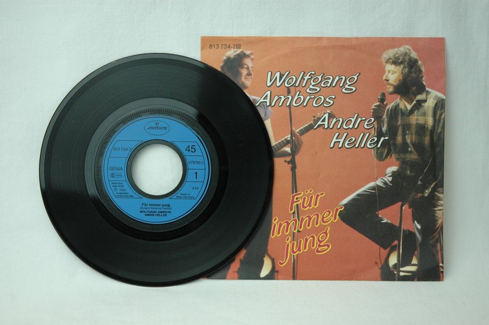 Für immer jung / Hand in Hand - Wolfgang Ambros Vinyl-Single in Königsmoos