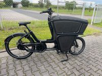 Lastenrad Urban Arrow Shorty CX Disc Zee Hessen - Rodgau Vorschau