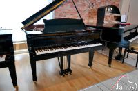 Hamburger Steinway & Sons Flügel ✱ Baujahr 1996 ✱ Modell O-180 München - Altstadt-Lehel Vorschau