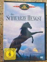 DVD der schwarze Hengst Baden-Württemberg - Sersheim Vorschau