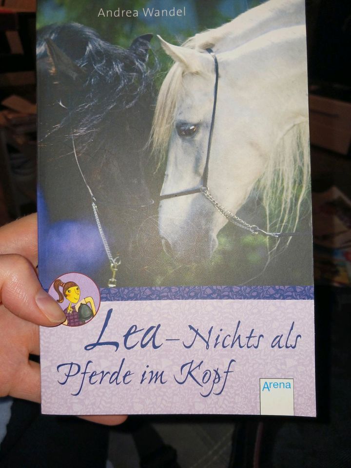 Kinderbuch, Jugendbuch, Pferdebuch in Weinböhla