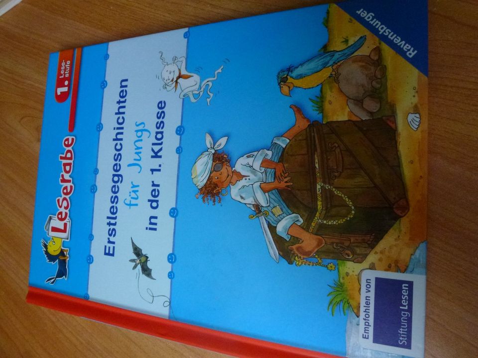 Leserabe: Erstlesegeschichten für Jungs 1. Klasse Pirat Fussball in Steinfeld