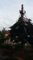 Baum Fällung, Sturmschäden, Baumpflege Hessen - Bebra Vorschau