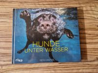 Hunde unter Wasser* Inkl. Versand Nordrhein-Westfalen - Grevenbroich Vorschau