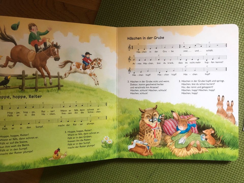 Meine liebsten Kinderlieder Papp Buch + CD in Augsburg