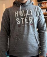 Hollister Pullover Rheinland-Pfalz - Trier Vorschau