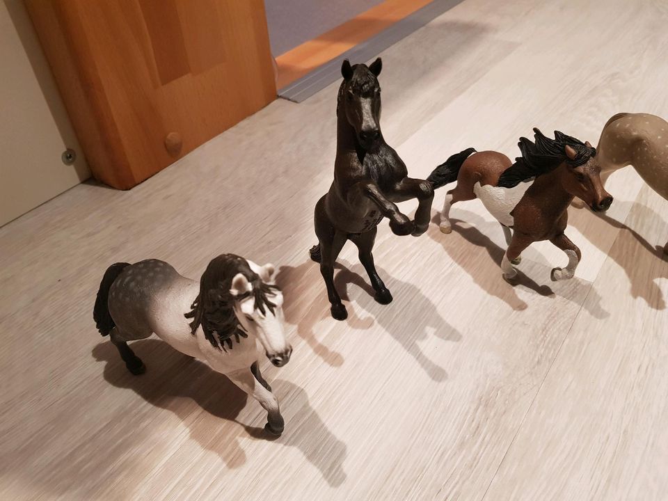 Schleich Hengst in Vögelsen