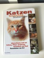 Katzen Ratgeber Niedersachsen - Dannenberg (Elbe) Vorschau