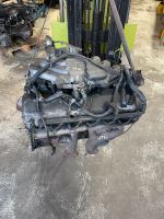 BMW e30 320 Motor M20 *83-85 Zündverteiler 20 6E B Nordrhein-Westfalen - Bottrop Vorschau