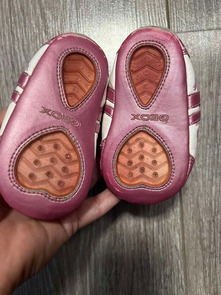 GEOX Lauflernschuhe Schuhe Sneakers Gr 18 rosa Baby atmungsaktiv in München