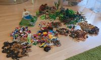 Riesige Playmobil Sammlung Kreis Pinneberg - Pinneberg Vorschau