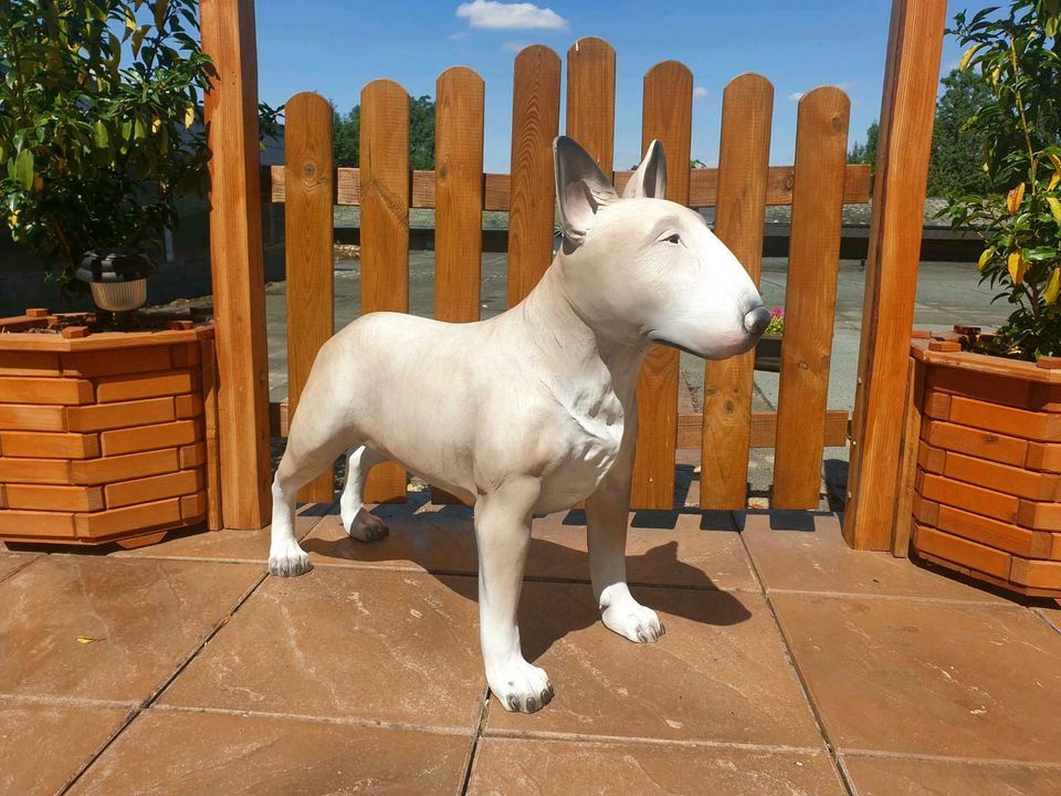 Bullterrier Lebens groß Garten Deko Hund Garten Figure 80 cm Groß in Köln