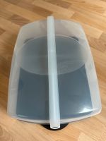 Tupperware tortenbehälter Kuchen Transport box lila Nordrhein-Westfalen - Netphen Vorschau