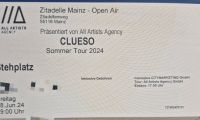 1 Stehplatz Clueso Mainz 28.06.2023 Zitadelle Hessen - Wiesbaden Vorschau