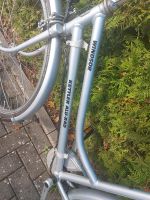 Fahrrad 28 Zoll alu Silber Kettler Niedersachsen - Beverstedt Vorschau