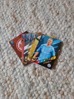 Panini Adrenalyn 2024. Mystery Pack Dresden - Laubegast Vorschau