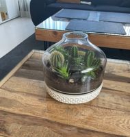 Terrarium für Sukkulenten, Kakteen, Blumenvase, Obstschale, Deko Baden-Württemberg - Hockenheim Vorschau