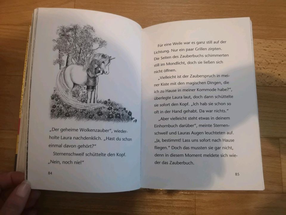 Sternenschweif Das geheime Zauberbuch Kinderbuch Lesebuch Einhor in Crimmitschau