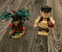 Lego Harry Potter der verbotene Wald Bayern - Ostheim Vorschau