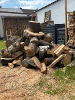 Brennholz Holz Birke Esche Tanne Nordrhein-Westfalen - Unna Vorschau