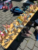 Bayala Schleich Figuren Nordrhein-Westfalen - Havixbeck Vorschau