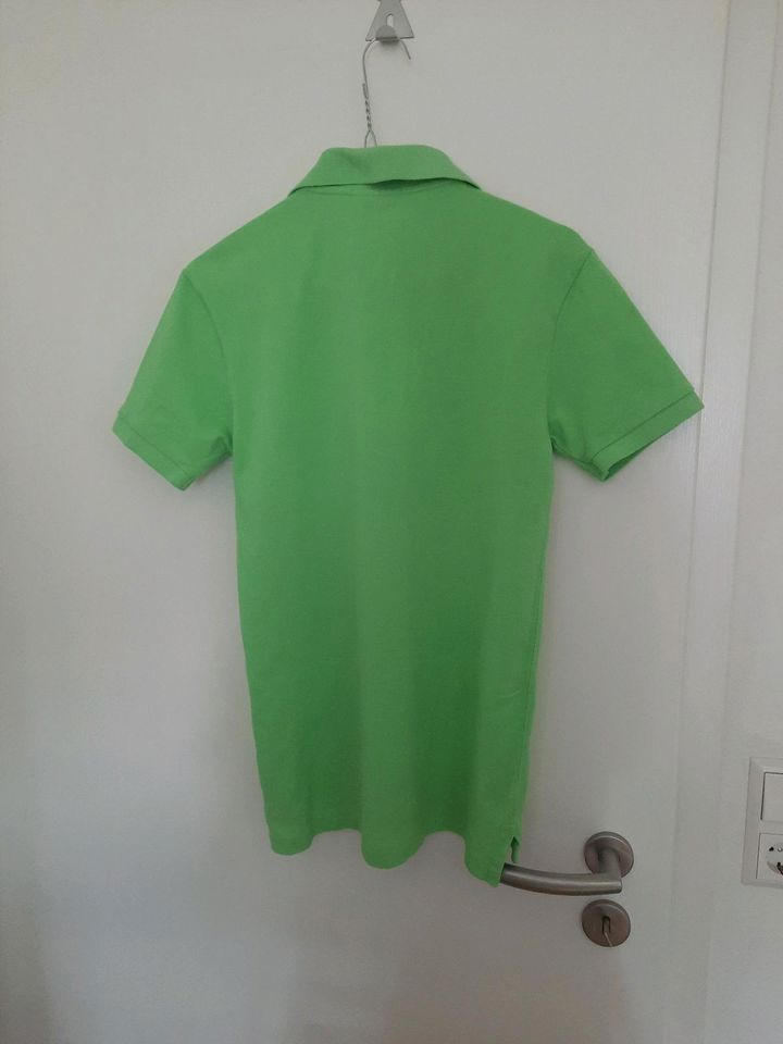 Grünes Polo Shirt, Ralph Lauren in Ravensburg