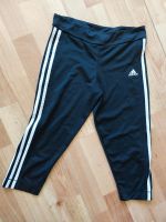 Adidas Sporthose Damen Größe 176(xs) Nordrhein-Westfalen - Warendorf Vorschau