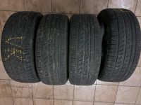 205 55 16 91V Pirelli Sommerreifen Niedersachsen - Visbek Vorschau