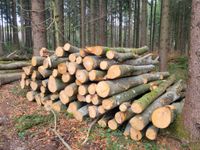 Brennholz aus Ihren heimatlichen Wäldern Baden-Württemberg - Frickingen Vorschau