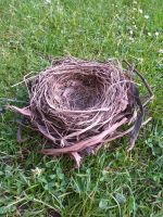 Vogelnest Nest Dekoration Schwerin - Altstadt Vorschau