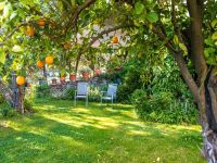Ich suche Sommer Garten zum verkaufen/ verpachten  in der nähe vo Bayern - Rothenburg o. d. Tauber Vorschau