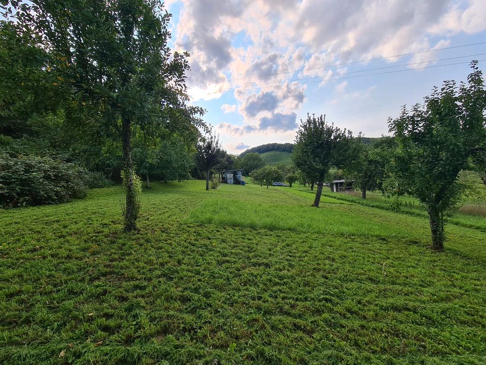 Zu verkaufen Freizeitgrundstück Gartengrundstück in Gellmersbach in Eberstadt