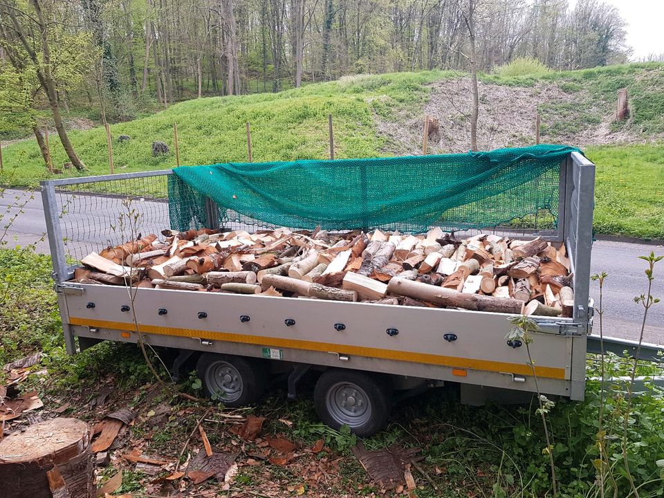 Laubholz Mix Brennholz Kaminholz in Leverkusen