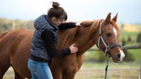 Pferdeosteopathie / Osteopathie für Pferde und Ponys Dresden - Reick Vorschau