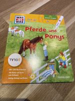 TING Was ist was - Pferde und Ponys Niedersachsen - Kissenbrück Vorschau