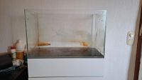 Clear Garden 60P Aquarium Bayern - Meeder Vorschau