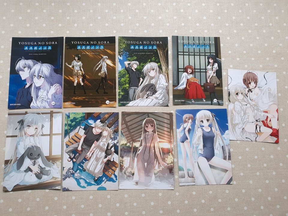 Shikishis anime manga Postkarten Autogramm shoco card amiami in Wohltorf