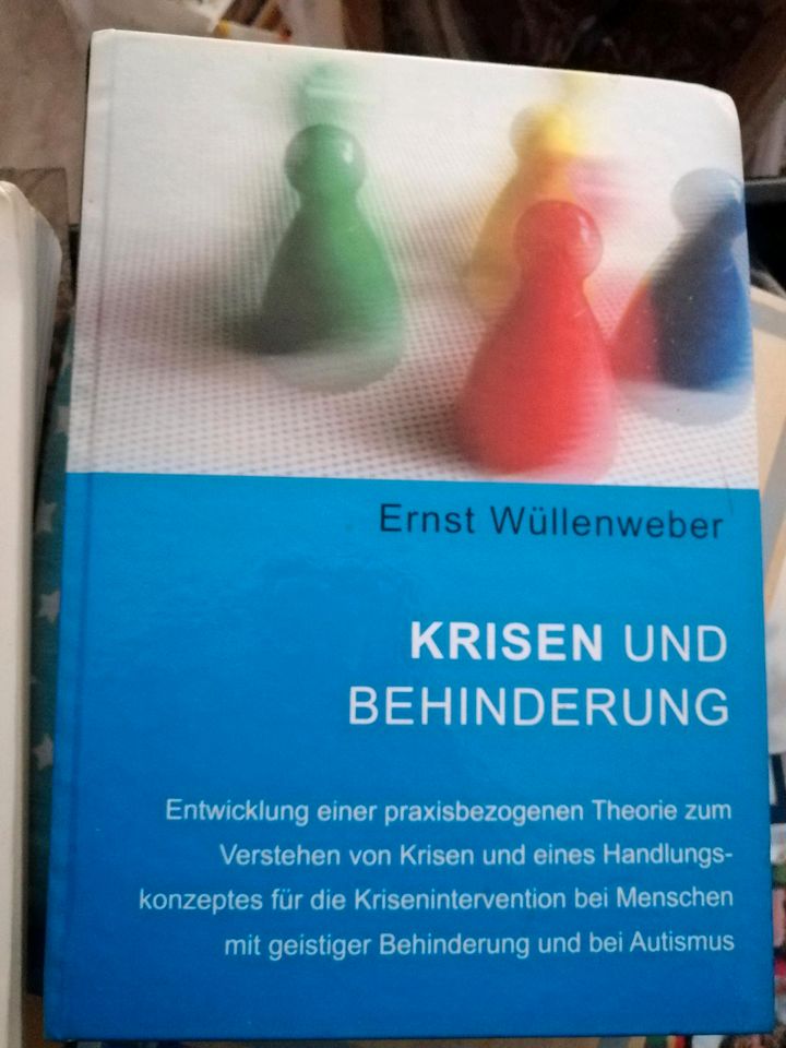 Ernst Wüllenweber Krisen und Behinderung soziale Arbeit in Reipoltskirchen