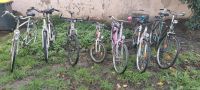 Fahrräder zu verkaufen Nordrhein-Westfalen - Rees Vorschau