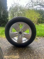 4x Pirelli Winterreifen 195/60 R16 Mini-Cooper NEU Buchholz-Kleefeld - Hannover Groß Buchholz Vorschau