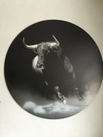 Aludibondbild FIGHTING BULL Bayern - Obernzenn Vorschau