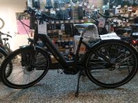 Elektro Fahrrad Saxonette Quantum Plus 28 Zoll. Rahmen Größe L München - Trudering-Riem Vorschau