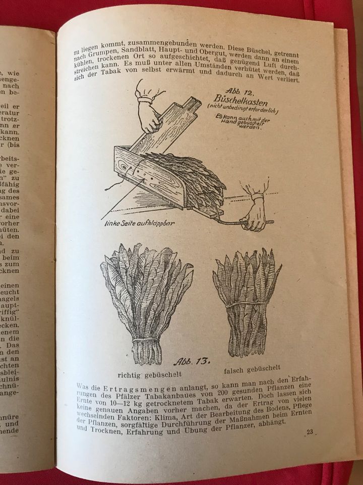 Die Praxis im Tabakanbau zum Selbstunterricht für Pflanzer 1947 in Luckau