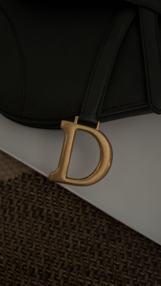 Dior Saddle Bag in Berlin