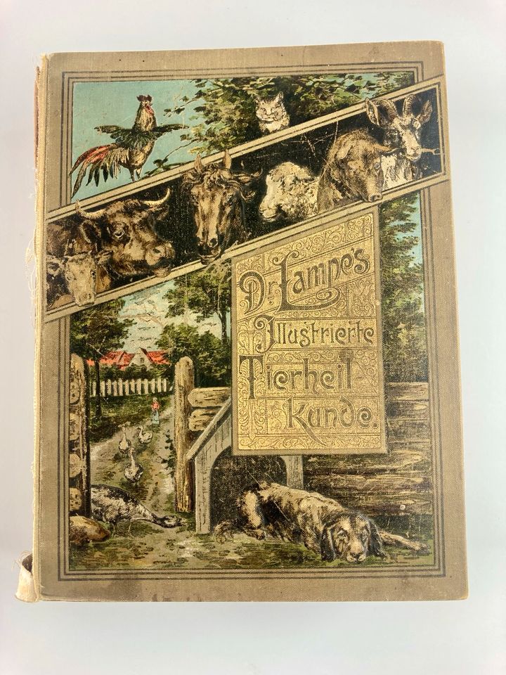 Altes Buch Dr. Lampe Illustrierte Tierheilkunde 1904 2. Auflage in Leipzig