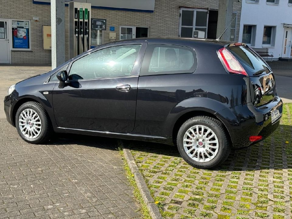 Fiat Punto Pop 1.25 70PS Klima|Kamera in Borgentreich