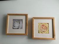 2 Bilder Blumen quadratisch 25x25cm Hessen - Hadamar Vorschau